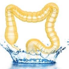 Colon Hydrotherapy: A Path to Optimal Gut Health and Detoxification